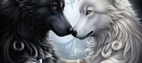 Shadows Of The Pack (Aria and Knox)